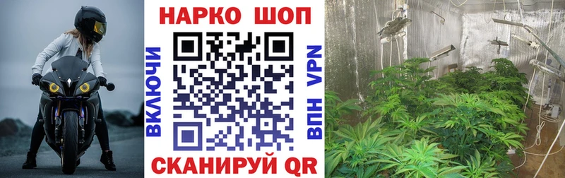 Виды наркотиков купить Ивдель КОКАИН МЕФ А ПВП Бошки Шишки ГАШИШ