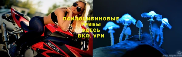 спайс Верея