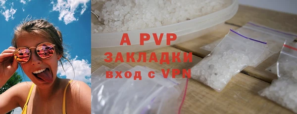 прущие грибы Володарск