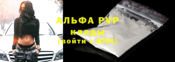 прущие грибы Володарск