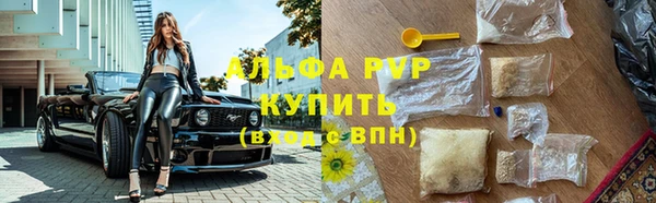прущие грибы Володарск