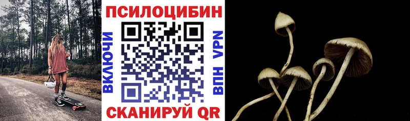 Галлюциногенные грибы прущие грибы  Ивдель 